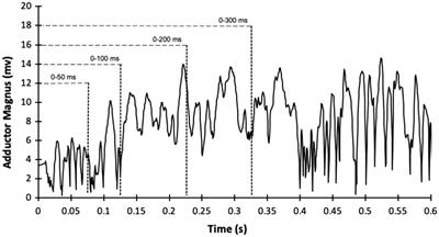 Hip Abductor and Adductor Rate of Torque Development and Muscle Activation, but Not Muscle Size, Are Associated With Functional Performance